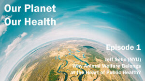 Why Animal Welfare Belongs at the Heart of Public Health?